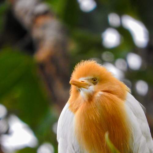 Photo #5723829