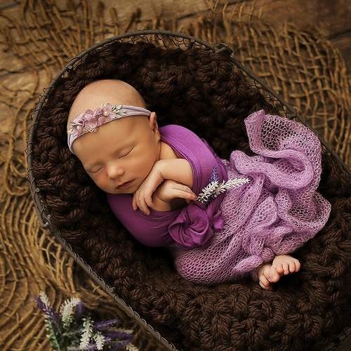 Photo #5723879