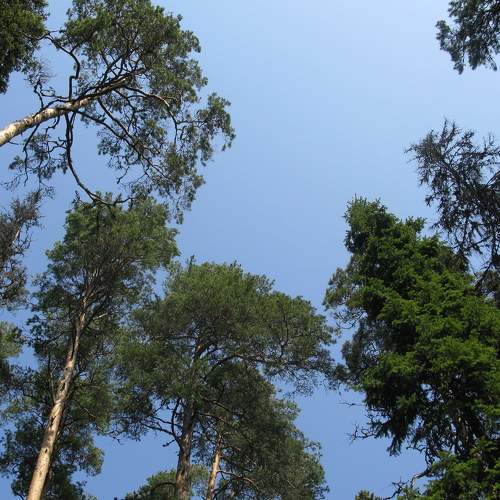 Photo #5723972
