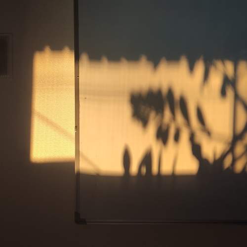 Photo #5724489