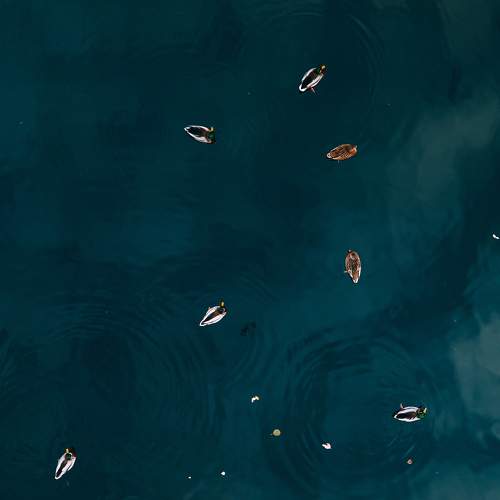 Photo #5724535