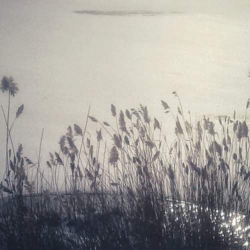 Photo #5724624