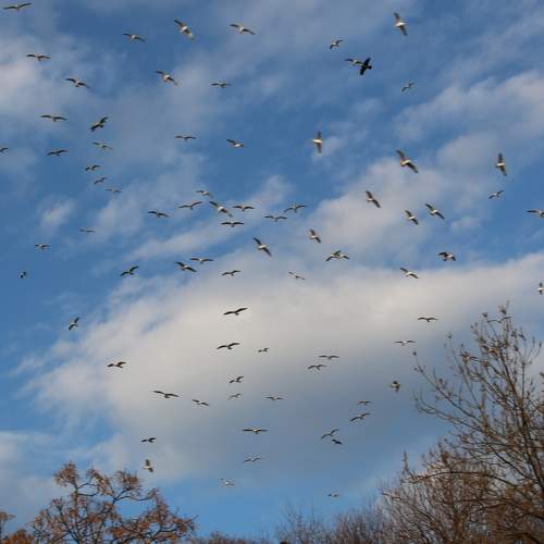 Photo #5724663