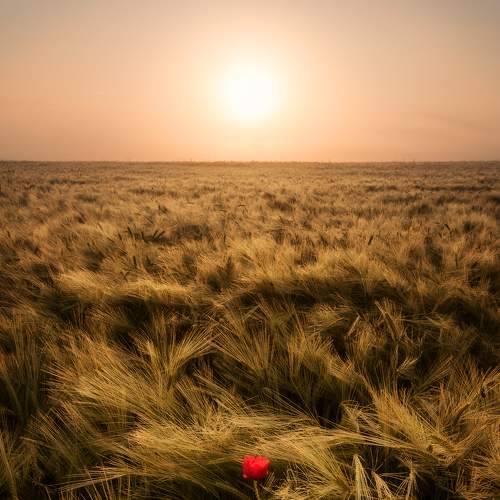 Photo #5724811
