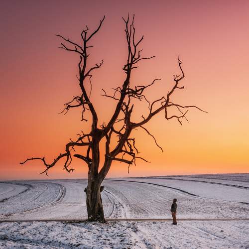 Photo #5724914