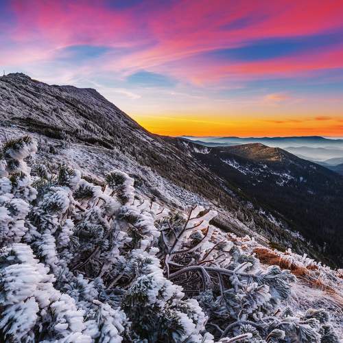 Photo #5724949