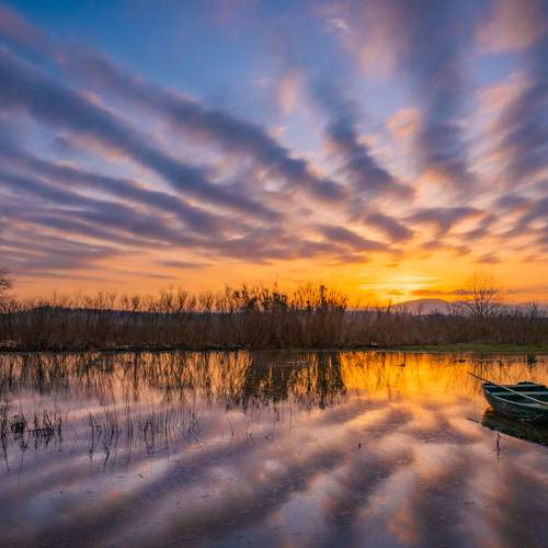 A pleasant end