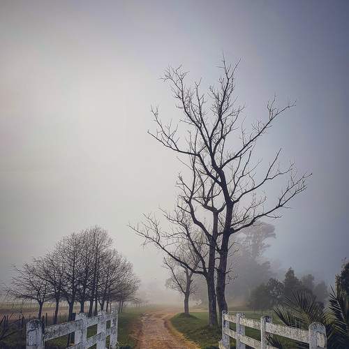 Camino del puente