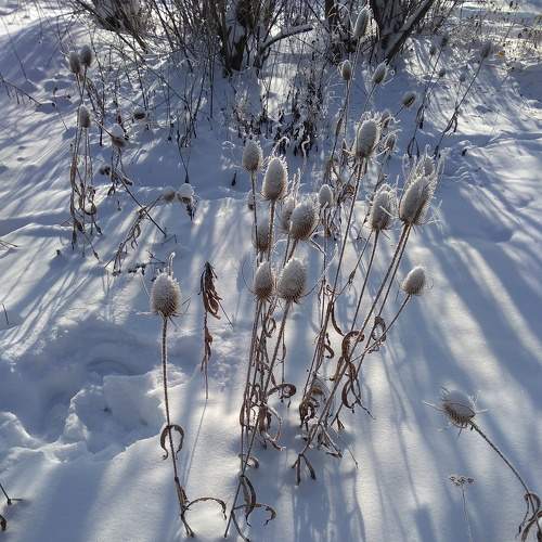 Photo #5725369