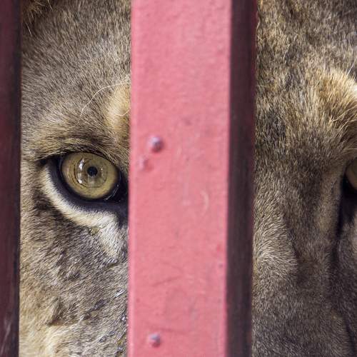 Photo #5725460