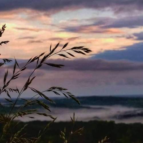 Photo #5725521