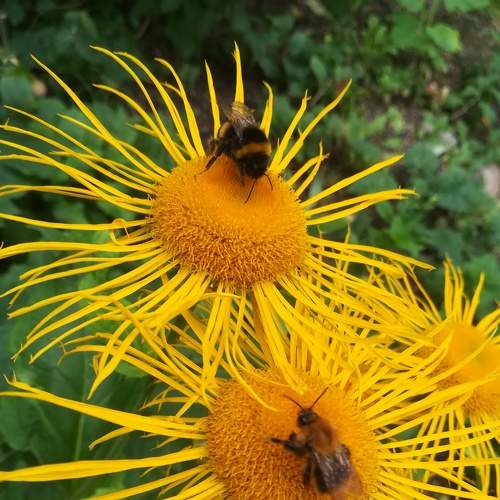 Photo #5725623