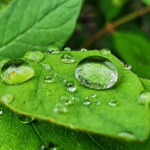 Photo #5725668