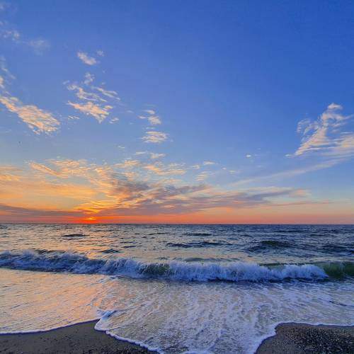 Photo #5725804