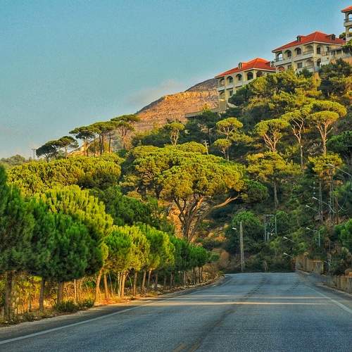 Photo #5725809