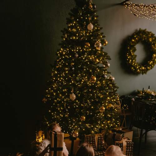 Photo #5725920