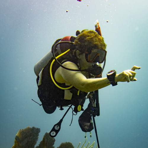 Photo #5725991