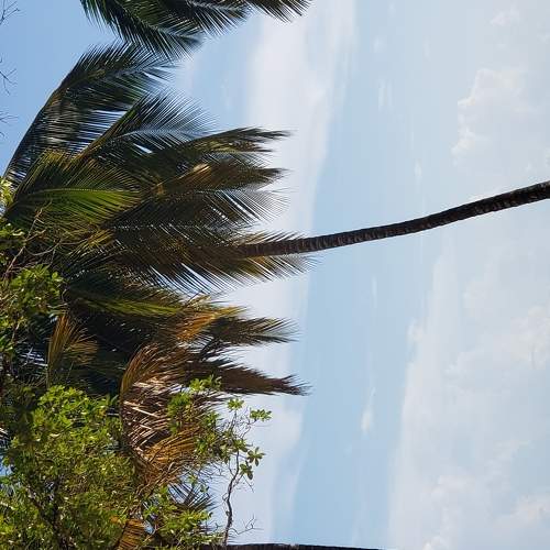 Photo #5726028