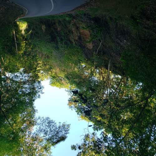 Photo #5726033