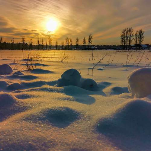 Photo #5726195
