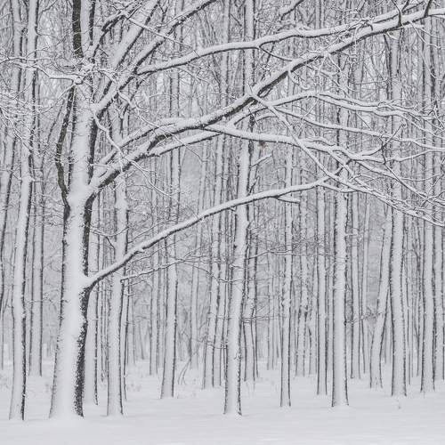 Photo #5726226