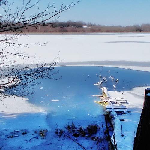 Photo #5726398