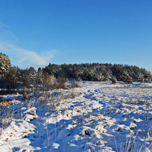Photo #5726399