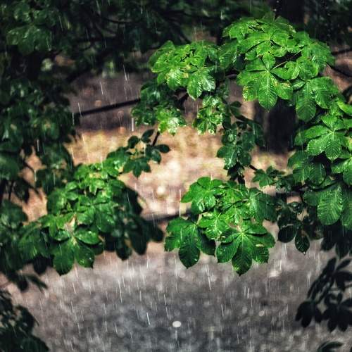 Photo #5726486