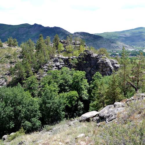 Photo #5726887