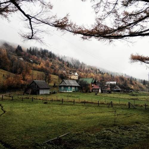 Photo #5726932
