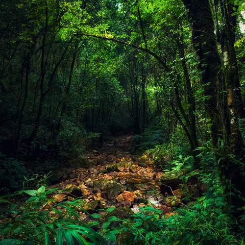 Photo #5727223