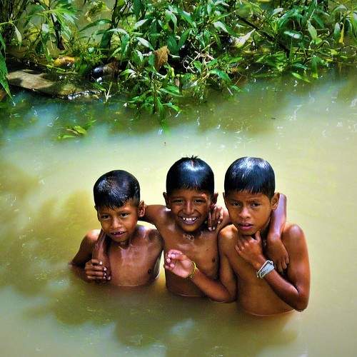 Photo #5727525
