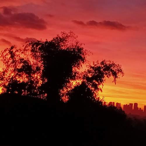 Photo #5727636