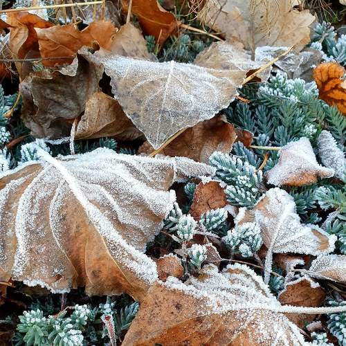 Photo #5728020