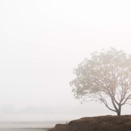 Photo #5728208