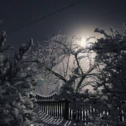 Photo #5728850