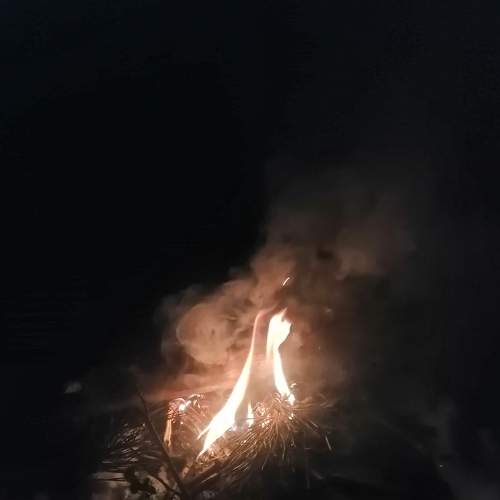Photo #5728851