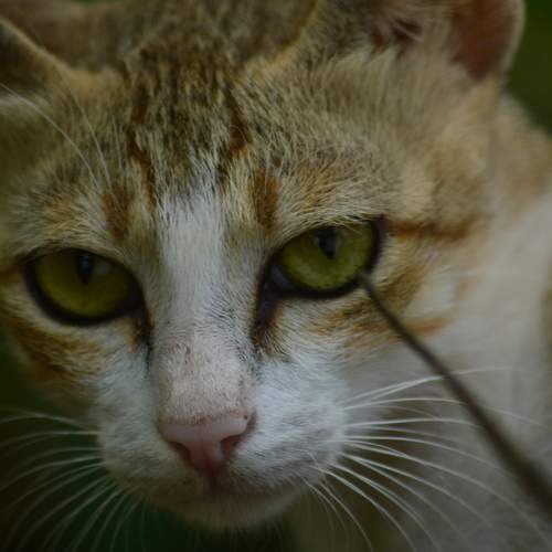 Photo #5728913