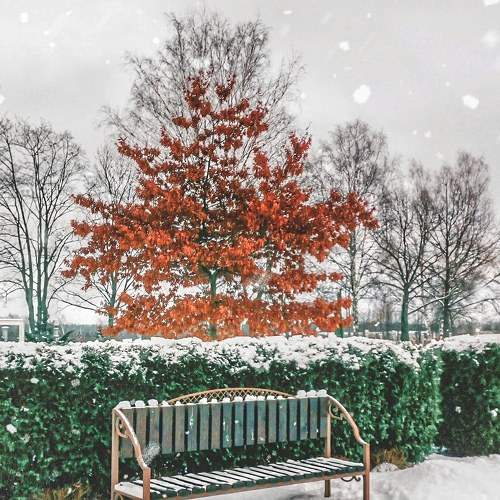 Photo #5728944
