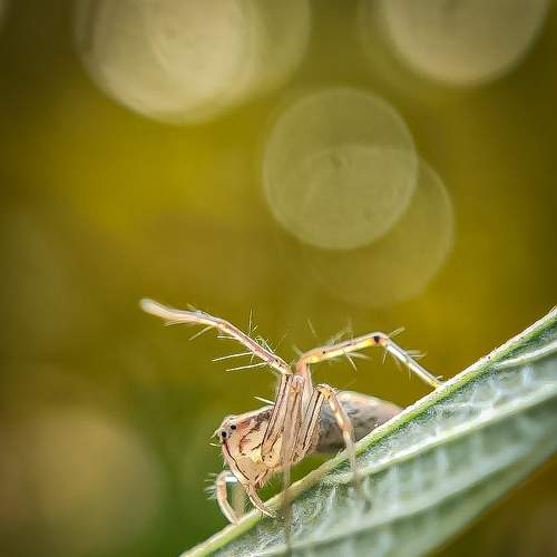 Photo #5729361