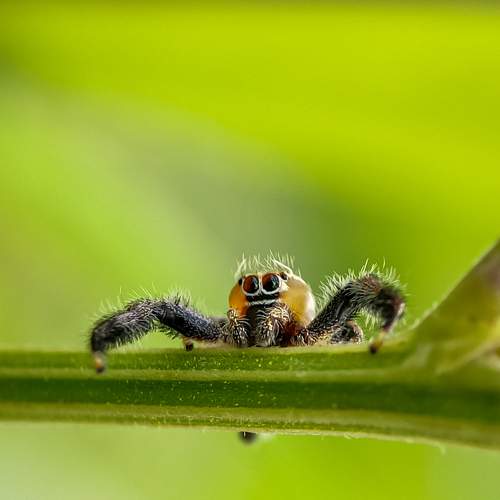 Photo #5729449