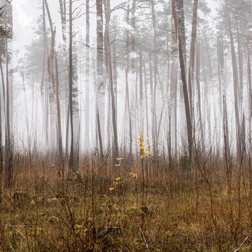 Photo #5729546