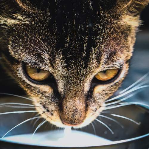 Photo #5729563