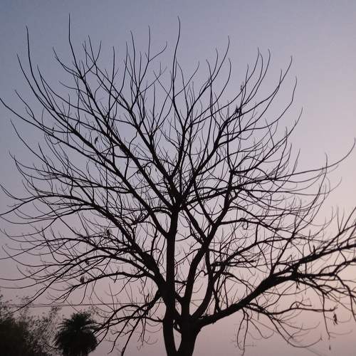 Photo #5729660