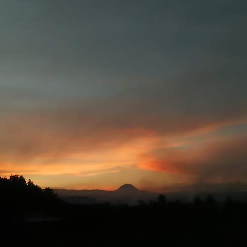 Photo #5729693
