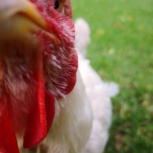 Photo #5729730
