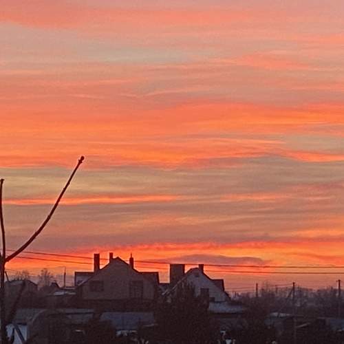 Photo #5729764