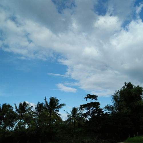 Photo #5729802