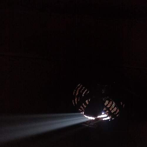Photo #5730012
