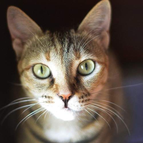 Photo #5730074